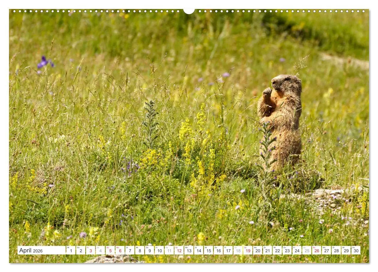 Bild: 9783457365403 | Spanien - die Pyrenäen (hochwertiger Premium Wandkalender 2026 DIN...