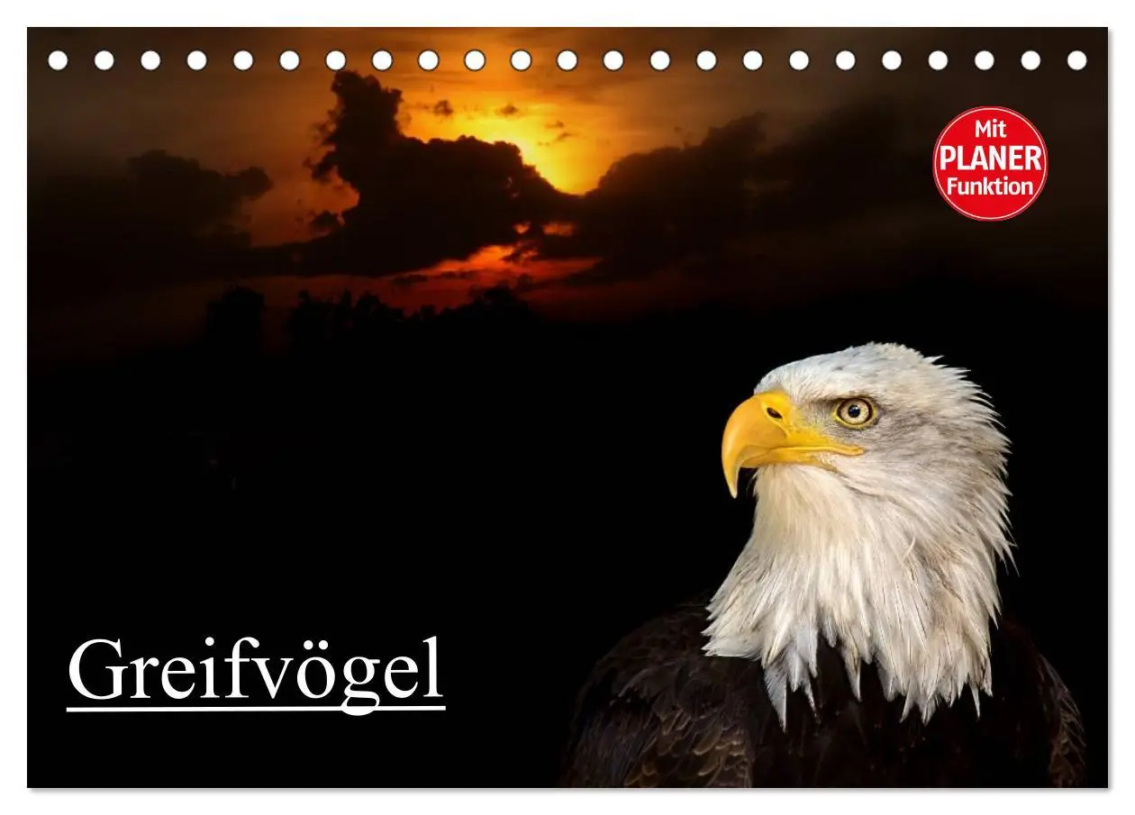 Cover: 9783457985403 | Greifvögel (Tischkalender 2026 DIN A5 quer), CALVENDO Monatskalender