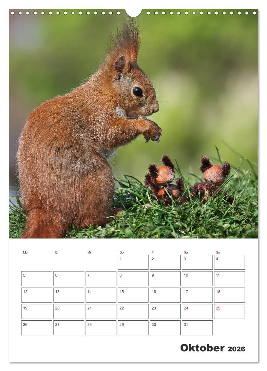 Bild: 9783516385403 | Eichhörnchen Luna (Wandkalender 2026 DIN A3 hoch), CALVENDO...