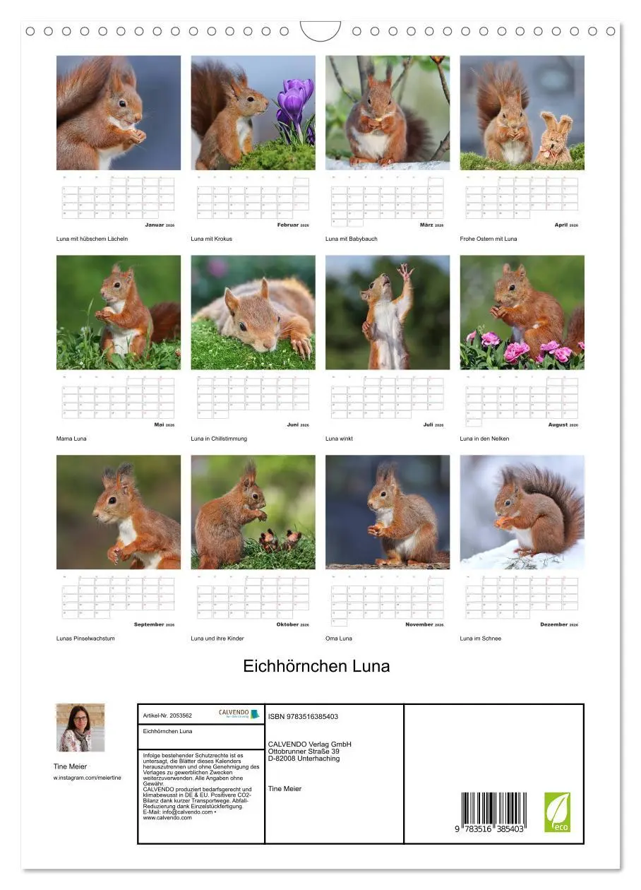 Bild: 9783516385403 | Eichhörnchen Luna (Wandkalender 2026 DIN A3 hoch), CALVENDO...