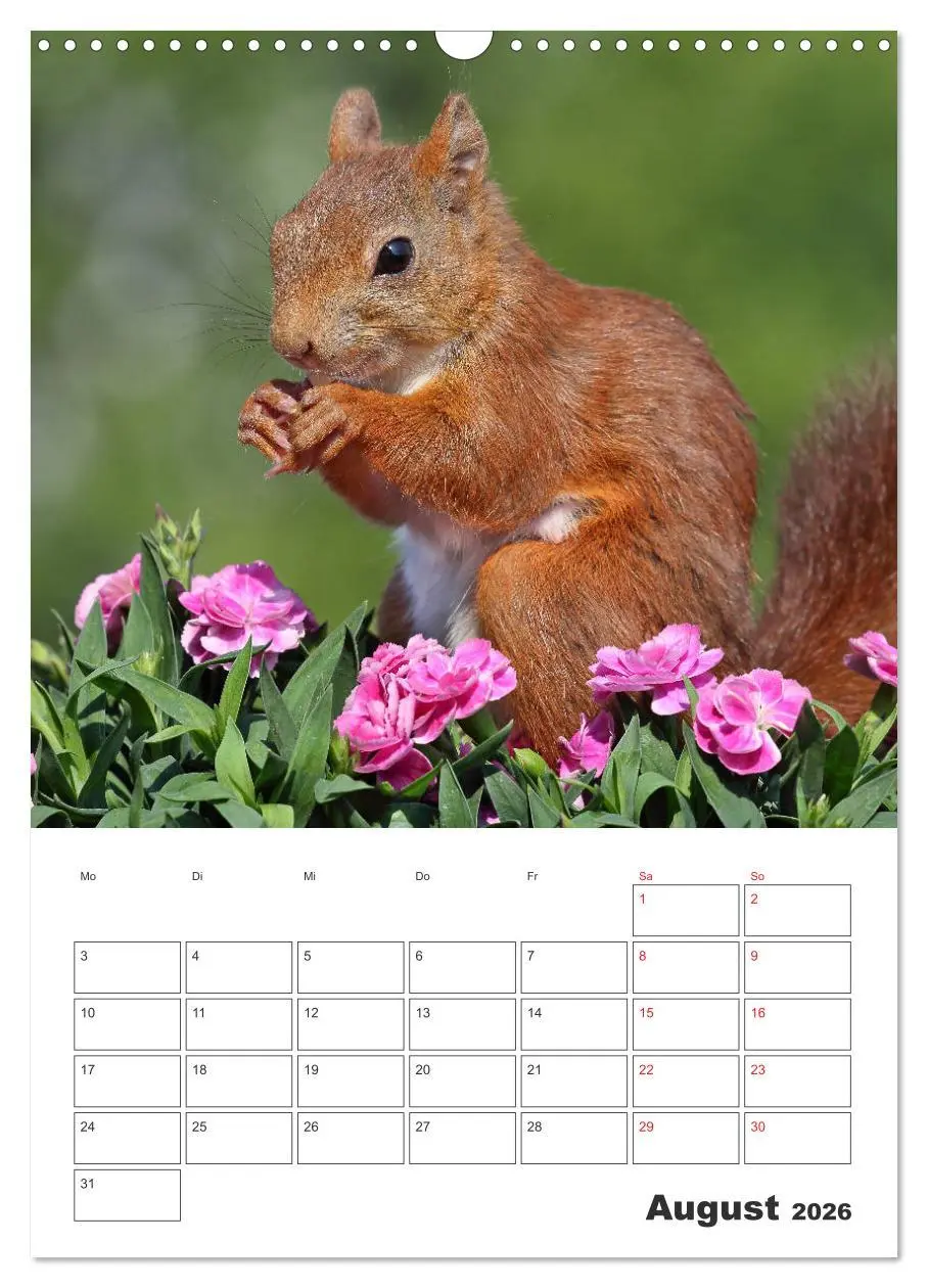 Bild: 9783516385403 | Eichhörnchen Luna (Wandkalender 2026 DIN A3 hoch), CALVENDO...