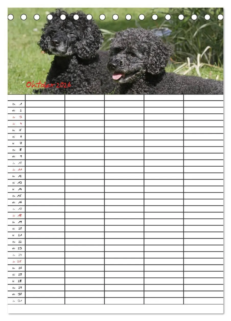 Bild: 9783516455403 | Der Pudel-Familienplaner (Tischkalender 2026 DIN A5 hoch), CALVENDO...