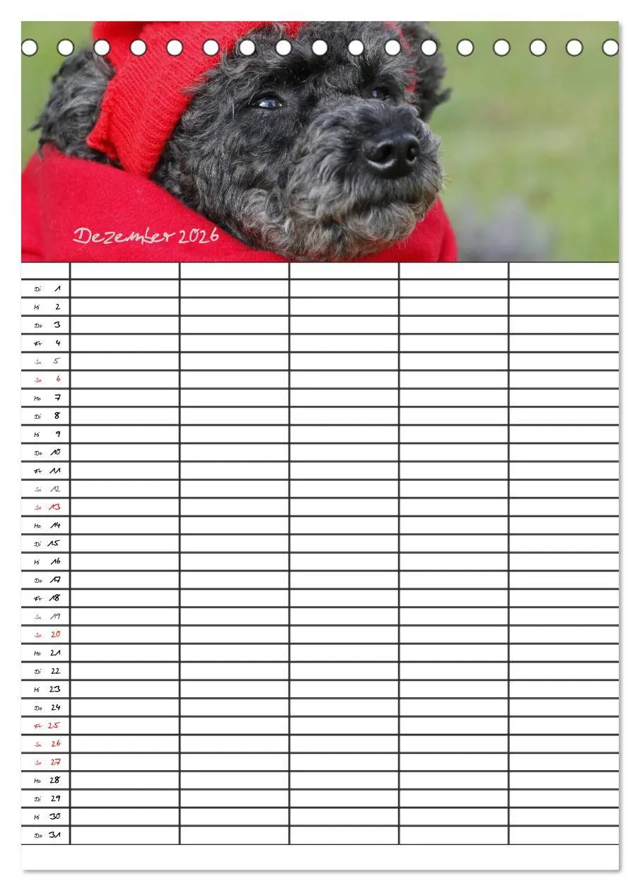 Bild: 9783516455403 | Der Pudel-Familienplaner (Tischkalender 2026 DIN A5 hoch), CALVENDO...
