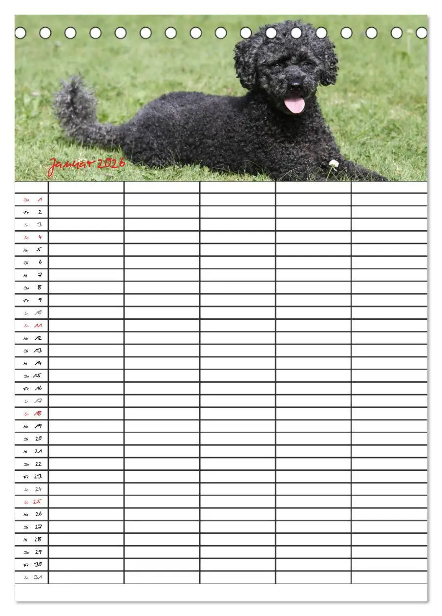 Bild: 9783516455403 | Der Pudel-Familienplaner (Tischkalender 2026 DIN A5 hoch), CALVENDO...