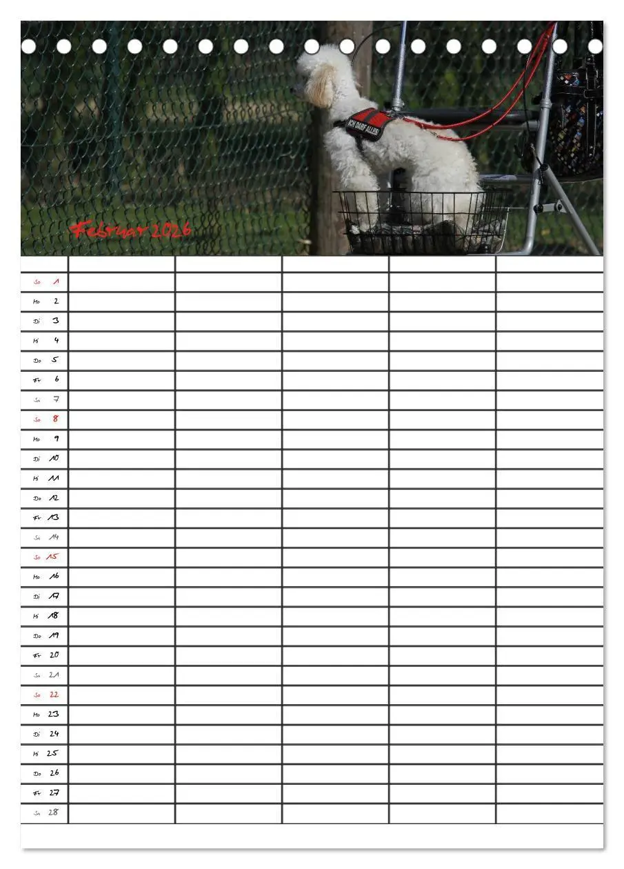Bild: 9783516455403 | Der Pudel-Familienplaner (Tischkalender 2026 DIN A5 hoch), CALVENDO...