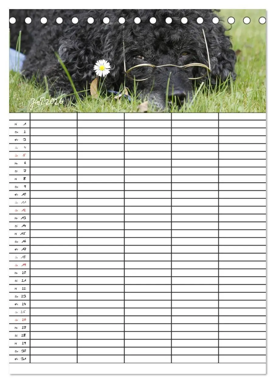 Bild: 9783516455403 | Der Pudel-Familienplaner (Tischkalender 2026 DIN A5 hoch), CALVENDO...