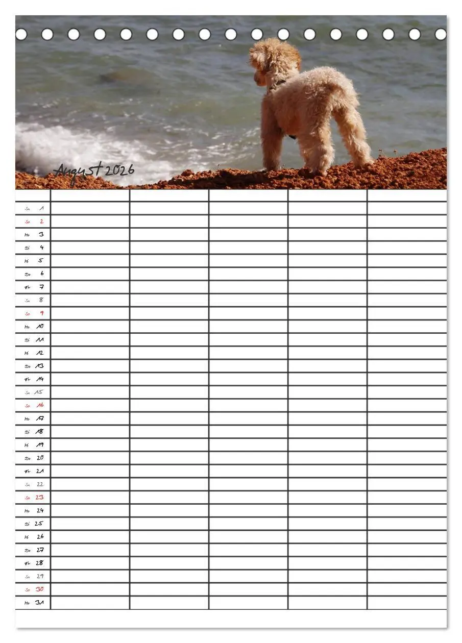Bild: 9783516455403 | Der Pudel-Familienplaner (Tischkalender 2026 DIN A5 hoch), CALVENDO...