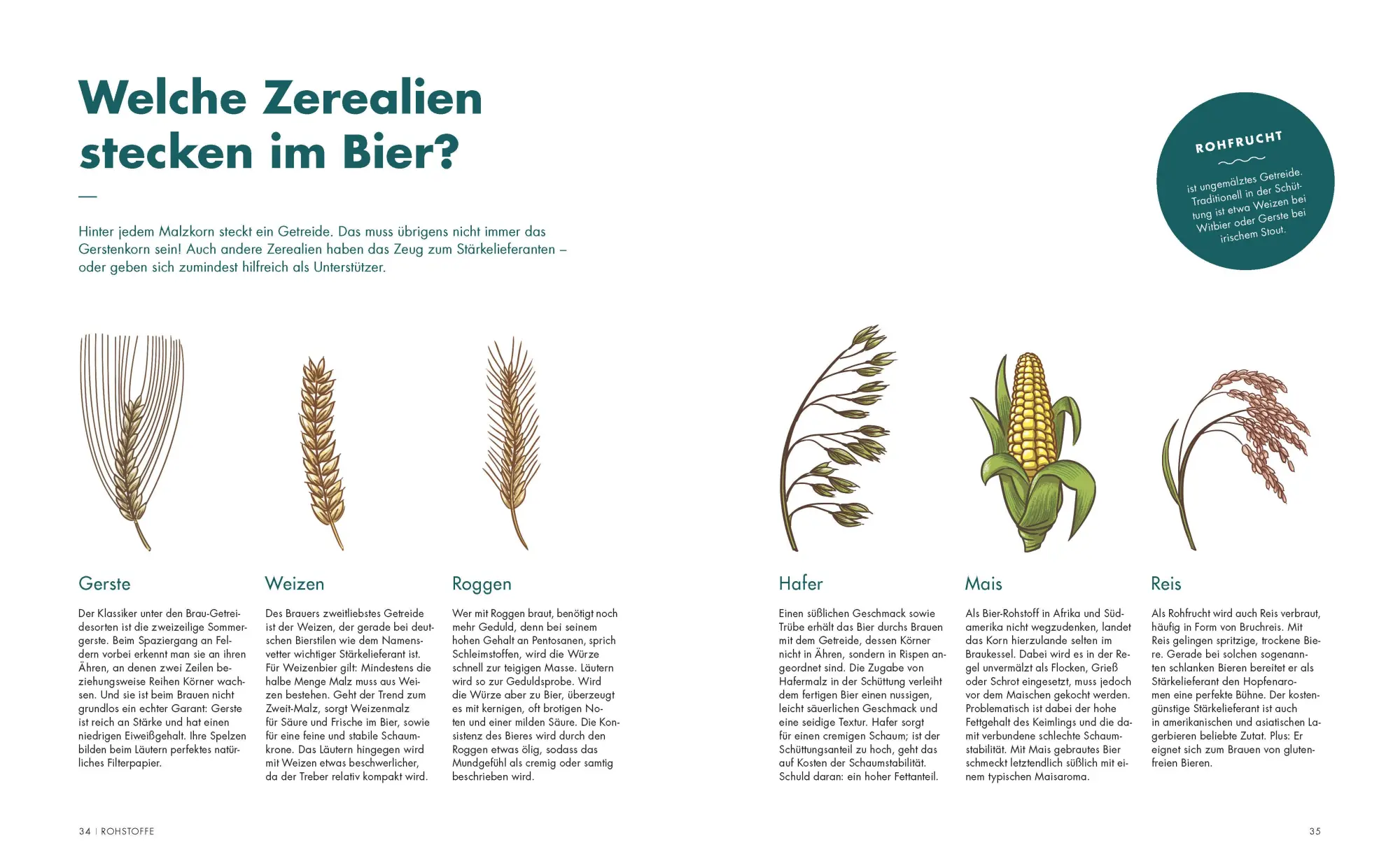 Bild: 9783453605503 | Der ultimative Brau-Guide | Sünje Nicolaysen (u. a.) | Taschenbuch