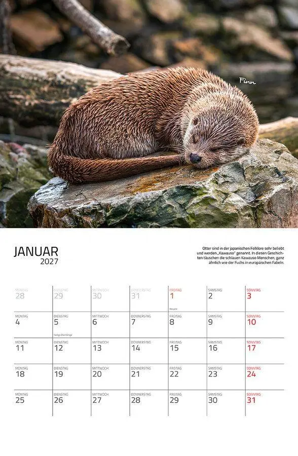 Bild: 9783960585503 | Otter Kalender 2027 Wandkalender Eintragkalender | Kalender | 14 S.