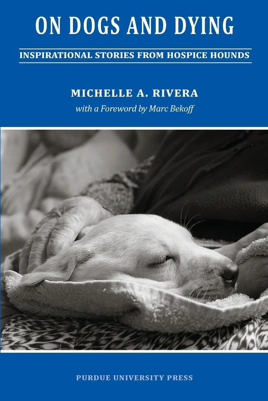 Cover: 9781557535603 | On Dogs and Dying | Stories of Hospice Hounds | Michelle A. Rivera