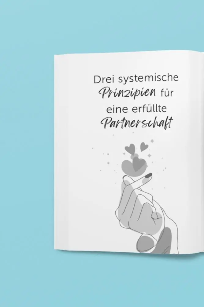 Bild: 9783910385603 | Notfallkoffer für die Liebe - Soforthilfe bei Beziehungskrisen | Seibt
