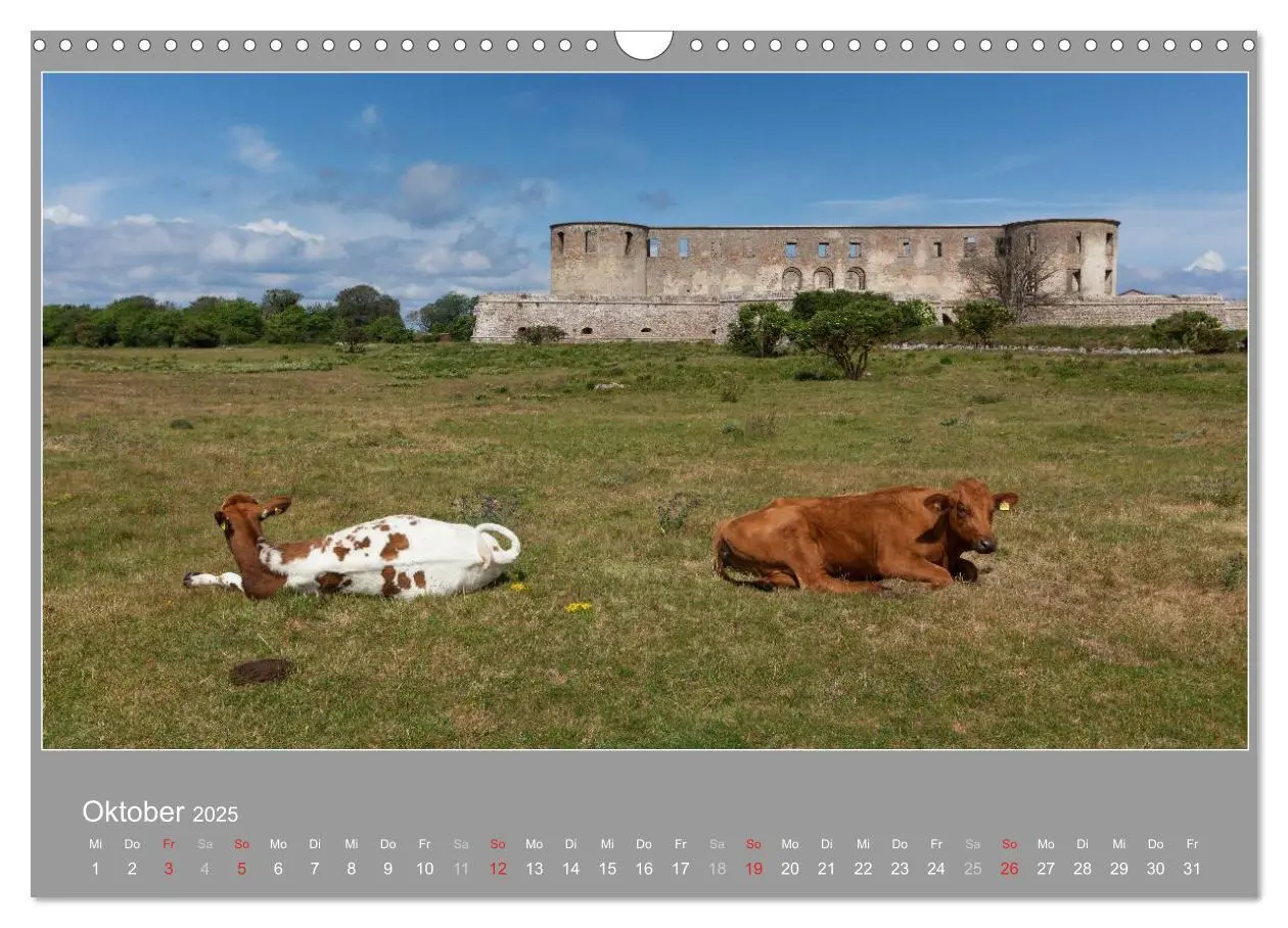 Bild: 9783435555703 | ÖLAND - Besuch im etwas anderen Schweden 2025 (Wandkalender 2025...