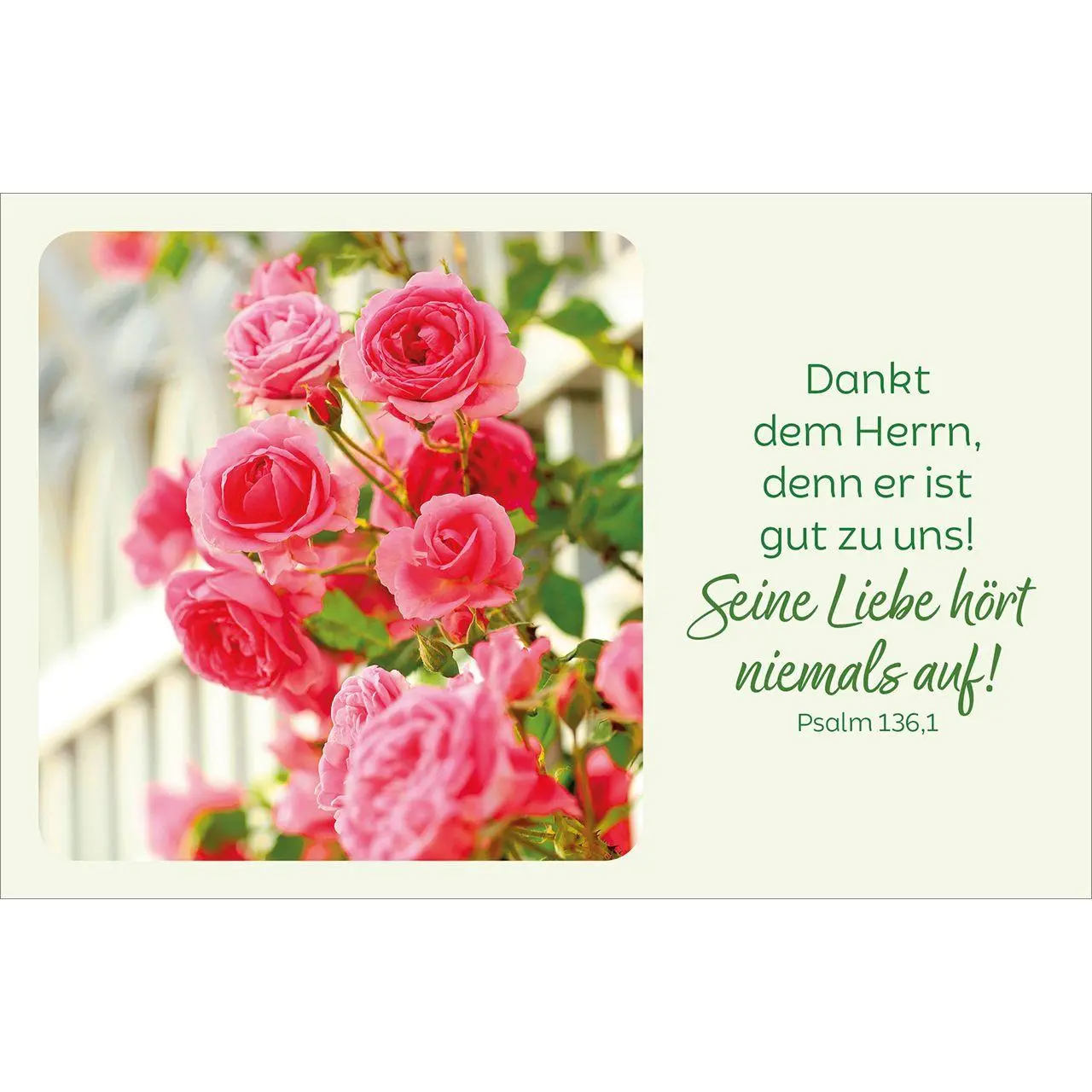 Bild: 4034905015803 | Blütenreiche Bibelverse | 62 Karten mit Blumenbildern und Bibelworten