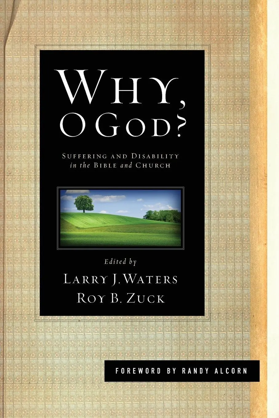 Cover: 9781433525803 | Why, O God? | Suffering and Disability in the Bible and the Church