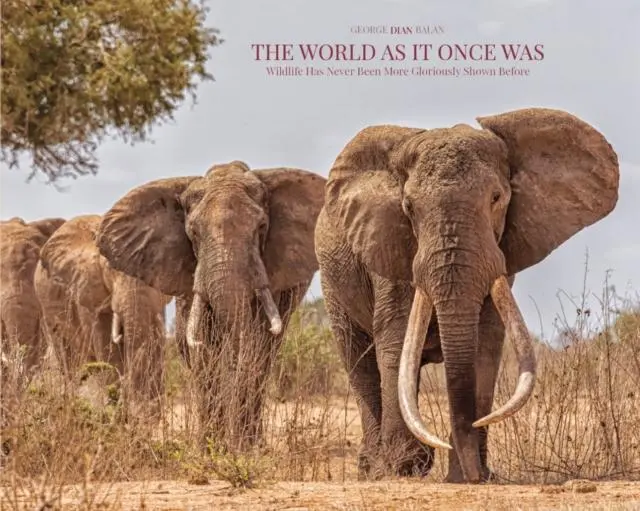 Cover: 9782805205903 | The World As It Once Was | George Dian Balan | Buch | Gebunden | 2021