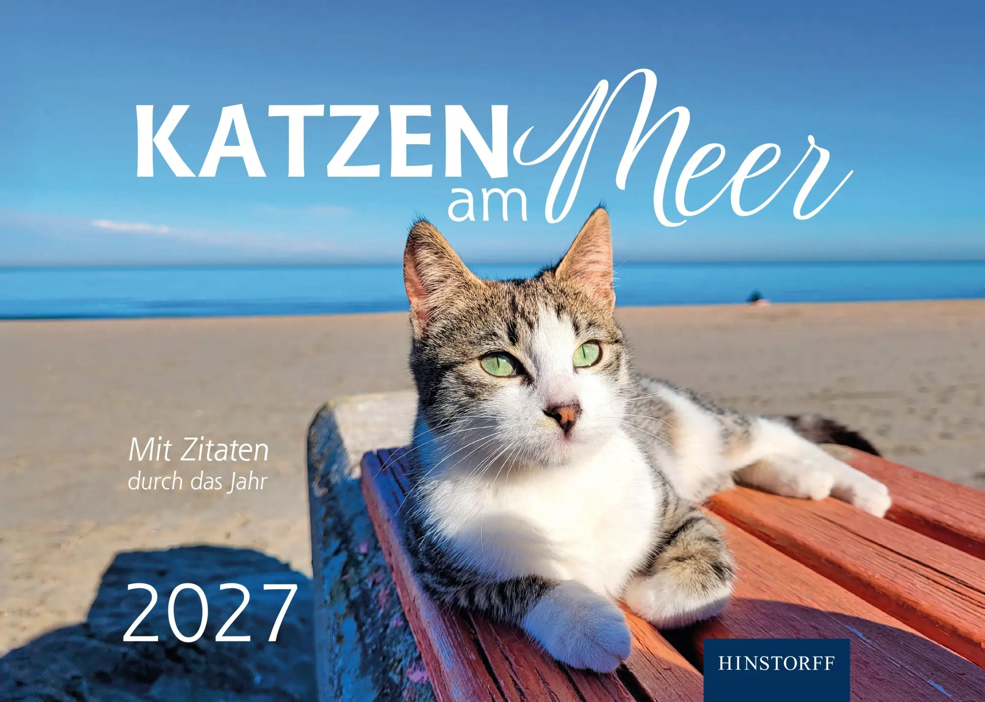 Cover: 9783356025903 | Katzen am Meer 2027 | Eva Maria Buchholz | Kalender | 13 S. | Deutsch