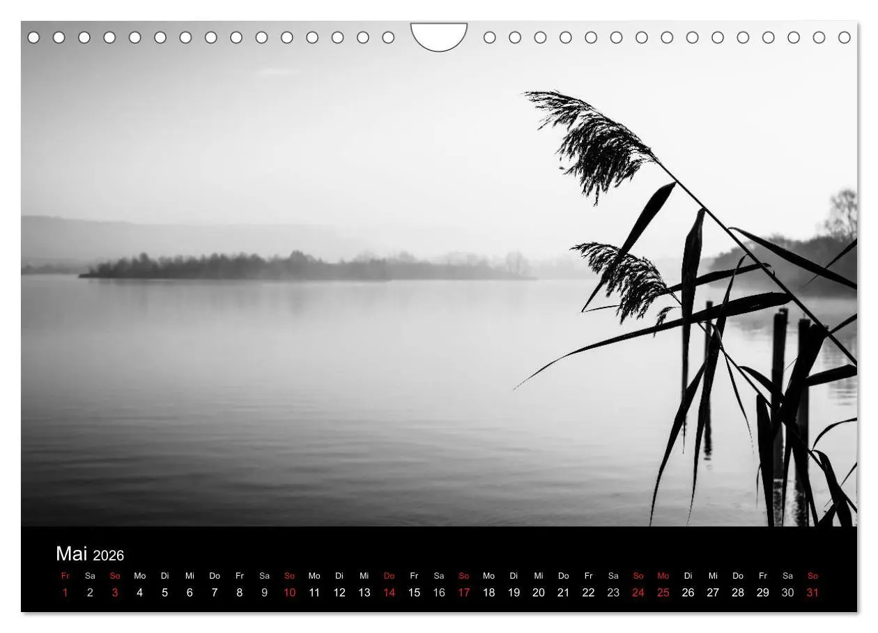 Bild: 9783516025903 | Monochrom 2026 (Wandkalender 2026 DIN A4 quer), CALVENDO...