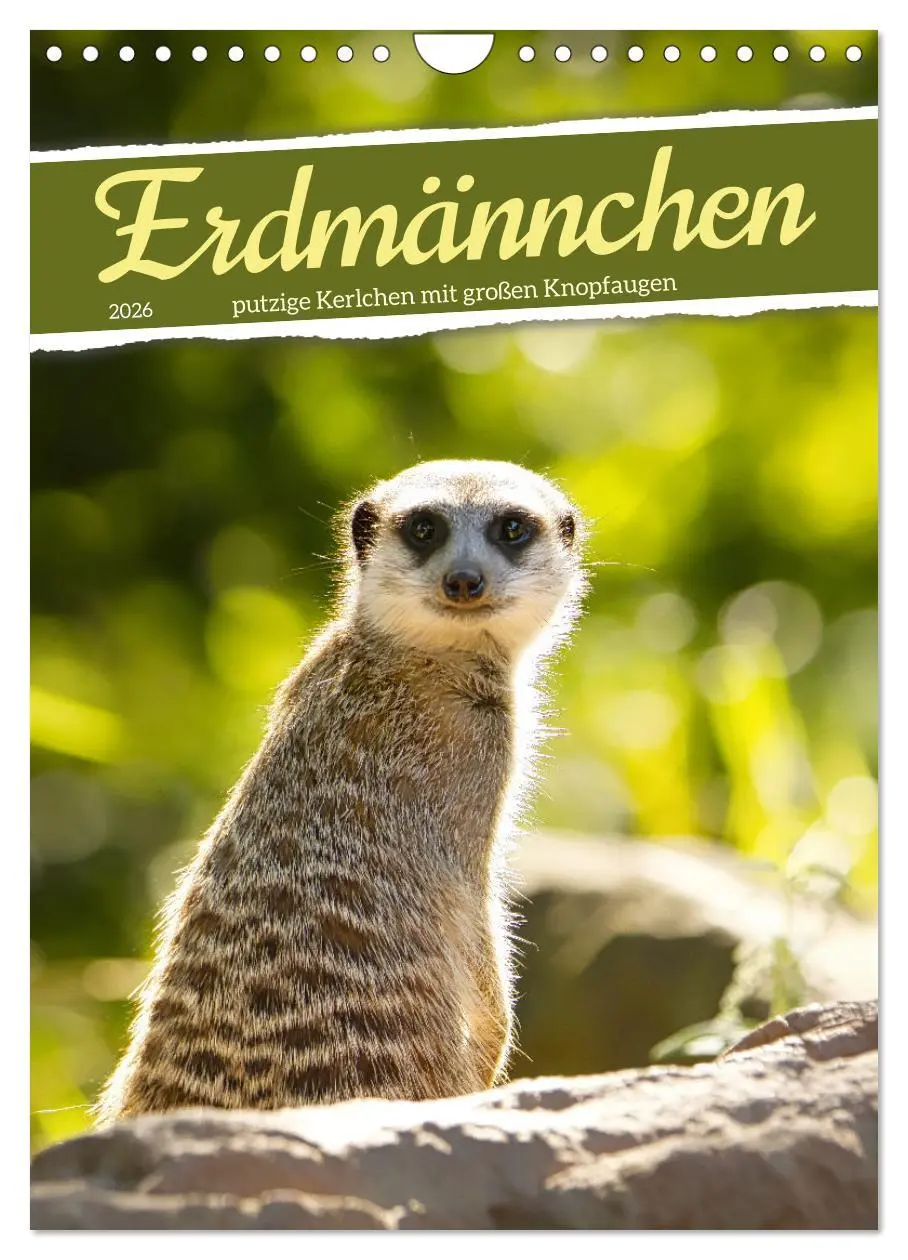 Cover: 9783516335903 | Erdmännchen, putzige Kerlchen mit großen Knopfaugen (Wandkalender...
