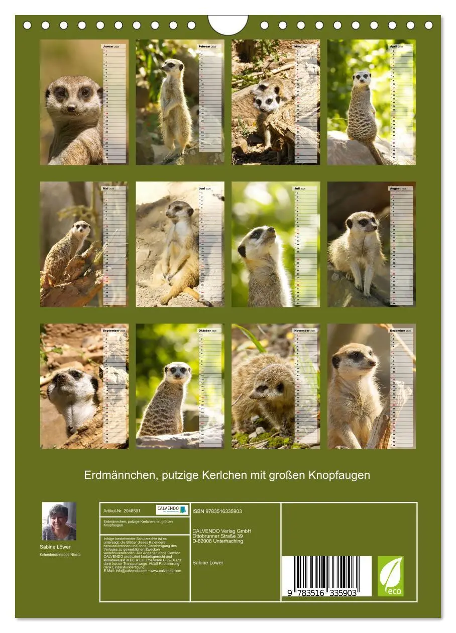 Bild: 9783516335903 | Erdmännchen, putzige Kerlchen mit großen Knopfaugen (Wandkalender...