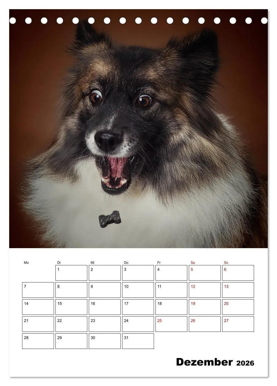 Bild: 9783516405903 | Fang das Leckerli (Tischkalender 2026 DIN A5 hoch), CALVENDO...
