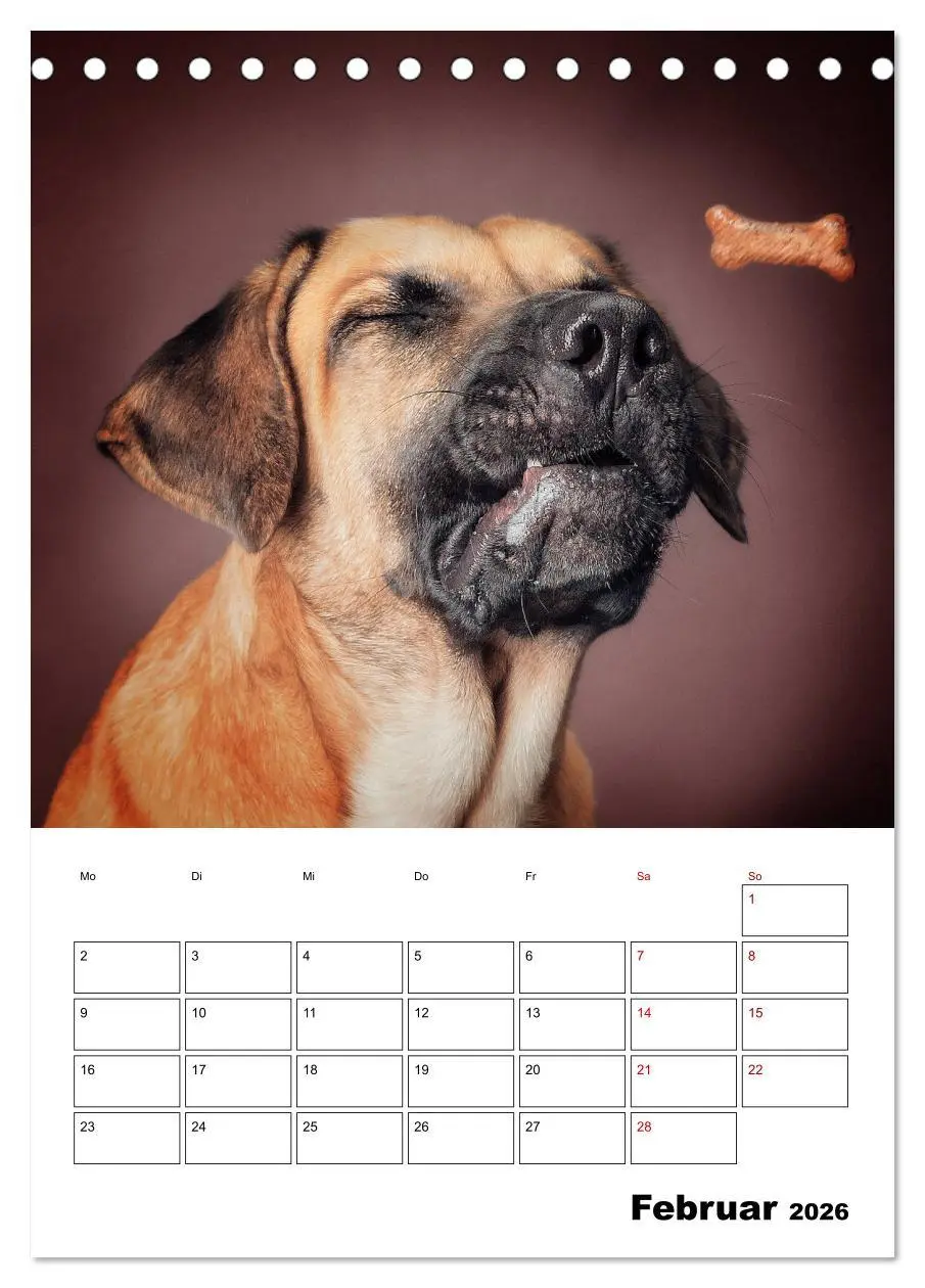 Bild: 9783516405903 | Fang das Leckerli (Tischkalender 2026 DIN A5 hoch), CALVENDO...