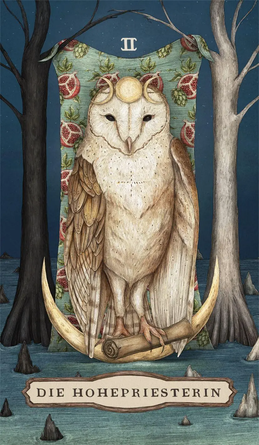 Bild: 9783868265903 | Woodland Wardens Tarot - Set mit Booklet u. 78 Karten | Jessica Roux