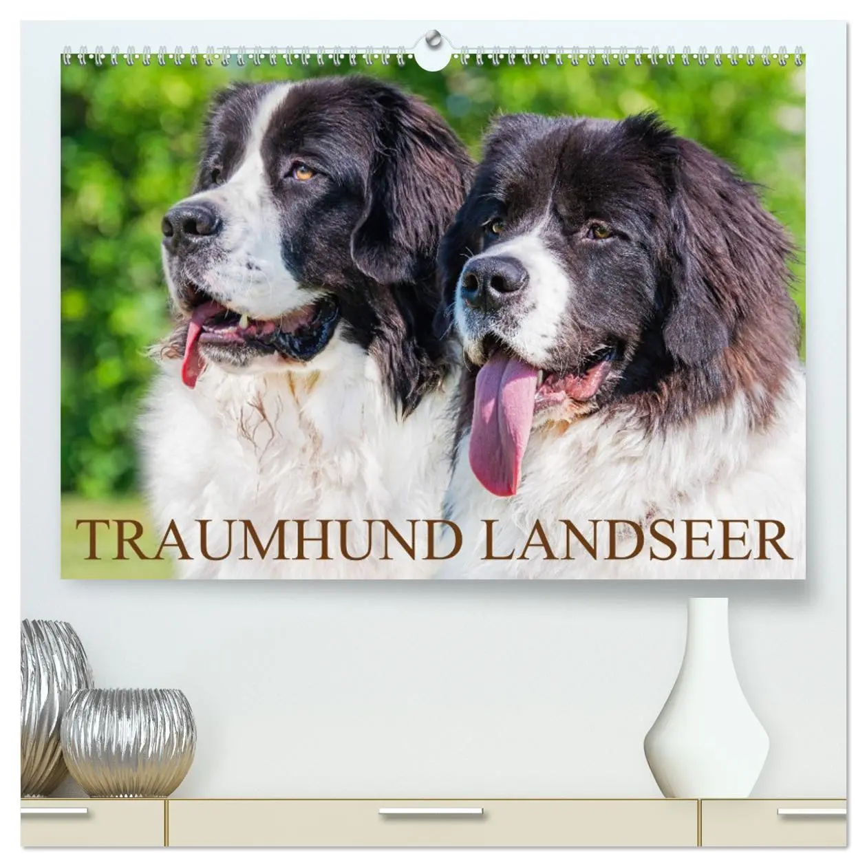 Cover: 9783457516003 | Traumhund Landseer (hochwertiger Premium Wandkalender 2026 DIN A2...