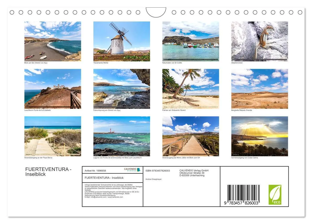 Bild: 9783457826003 | FUERTEVENTURA - Inselblick (Wandkalender 2026 DIN A4 quer),...