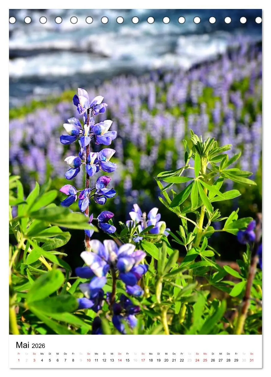 Bild: 9783516466003 | Island 2026 - Einzigartige Natur hautnah erleben (Tischkalender...