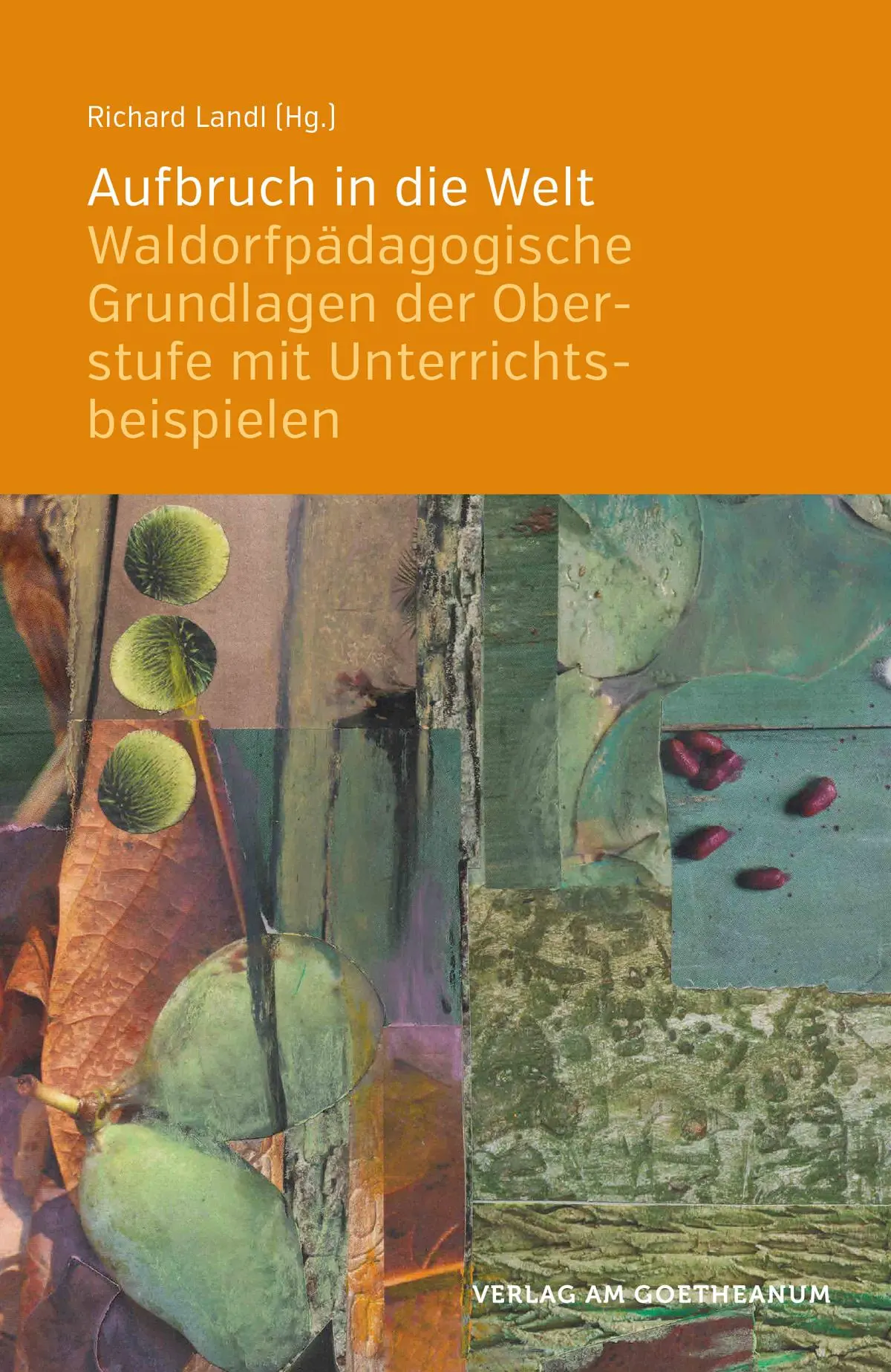 Cover: 9783723516003 | Aufbruch in die Welt | Richard Landl | Taschenbuch | 378 S. | Deutsch