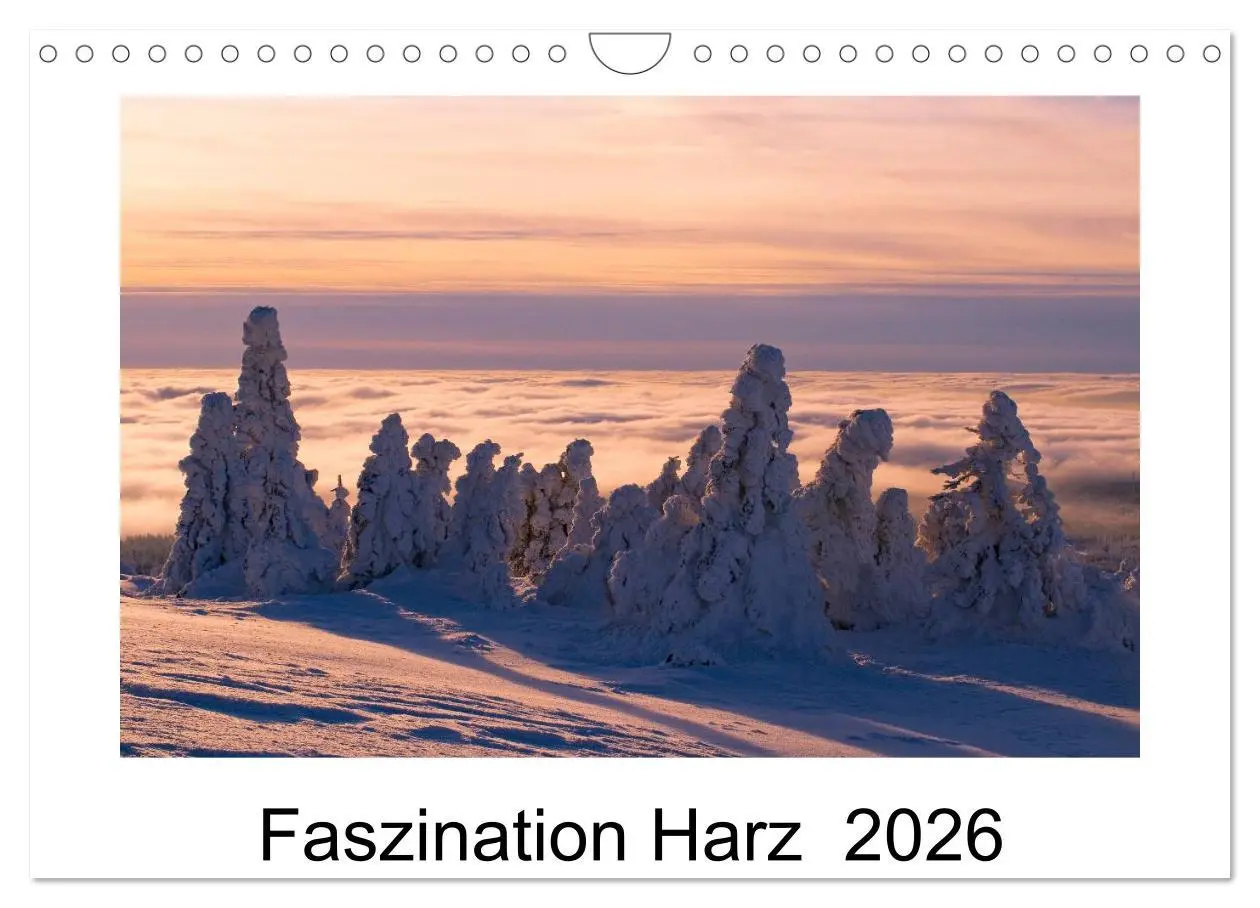 Cover: 9783516076103 | Faszination Harz 2026 (Wandkalender 2026 DIN A4 quer), CALVENDO...