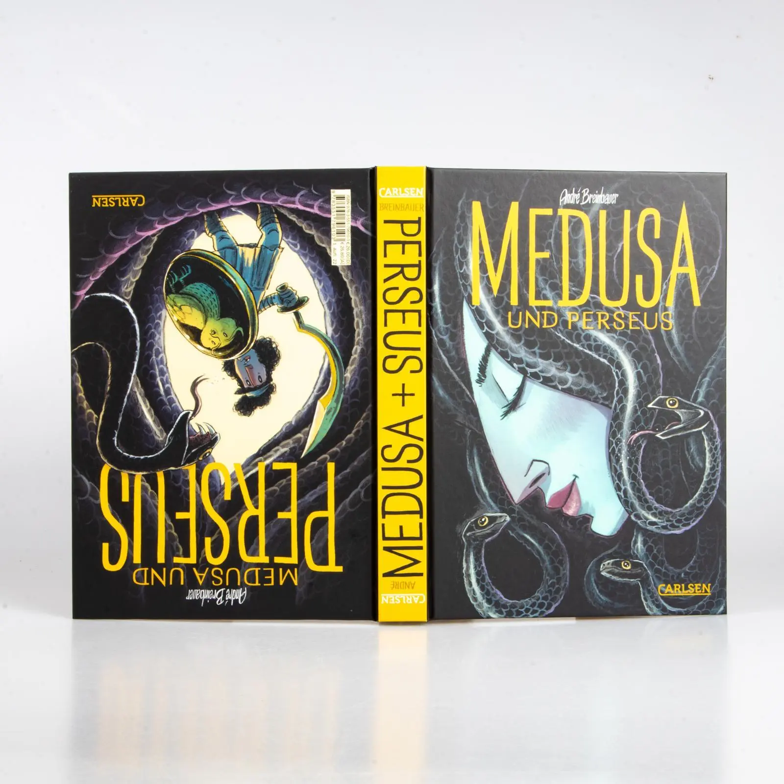 Bild: 9783551796103 | Medusa und Perseus | André Breinbauer | Buch | 288 S. | Deutsch | 2022
