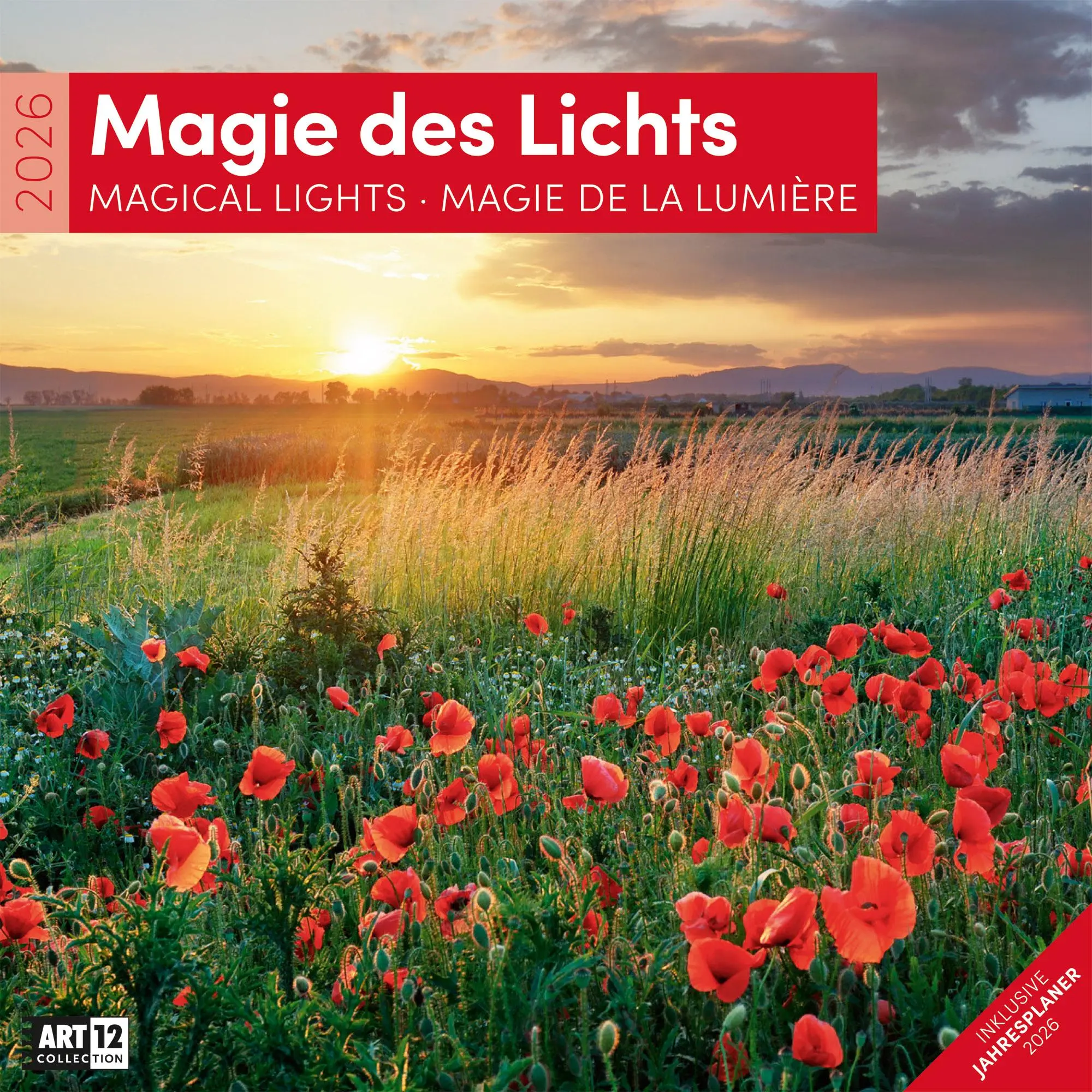 Cover: 9783838446103 | Magie des Lichts Kalender 2026 - 30x30 | Ackermann Kunstverlag GmbH