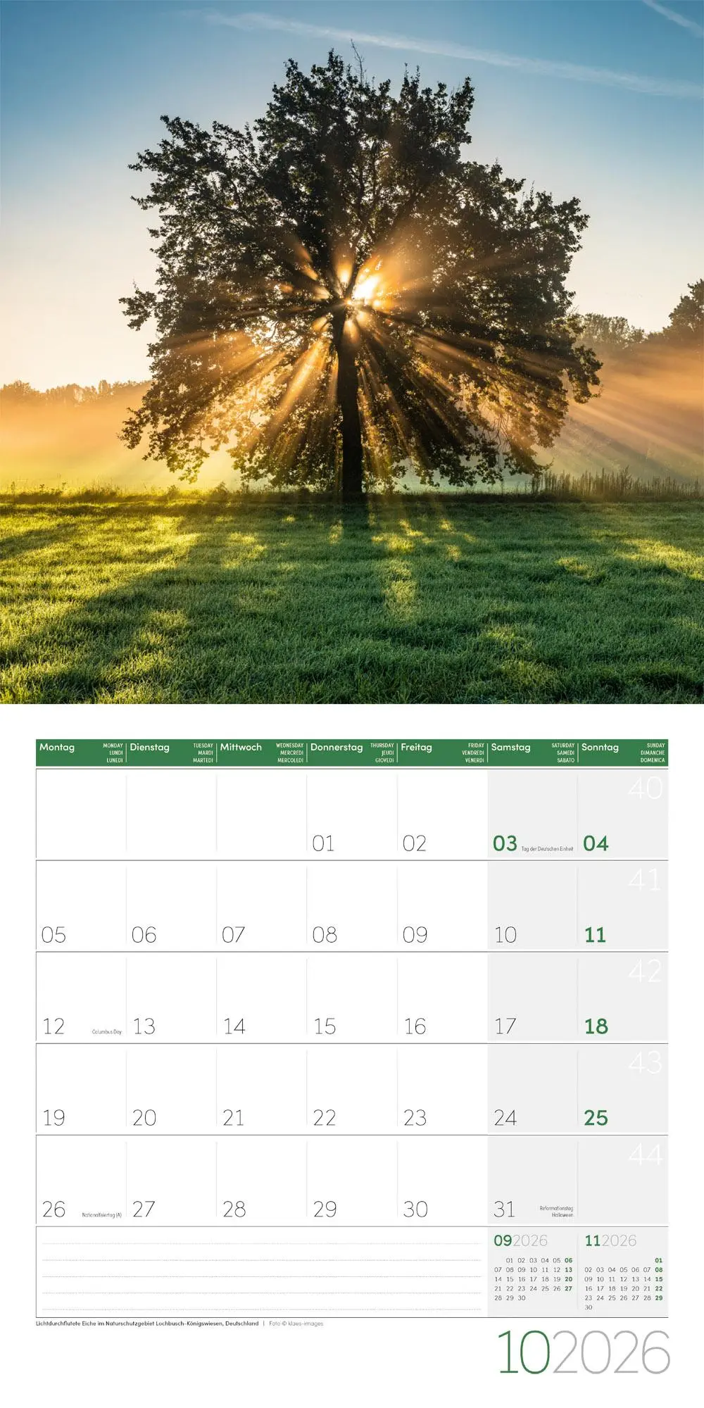 Bild: 9783838446103 | Magie des Lichts Broschürenkalender 2026 - 30x30 - Art12 | GmbH | 2026