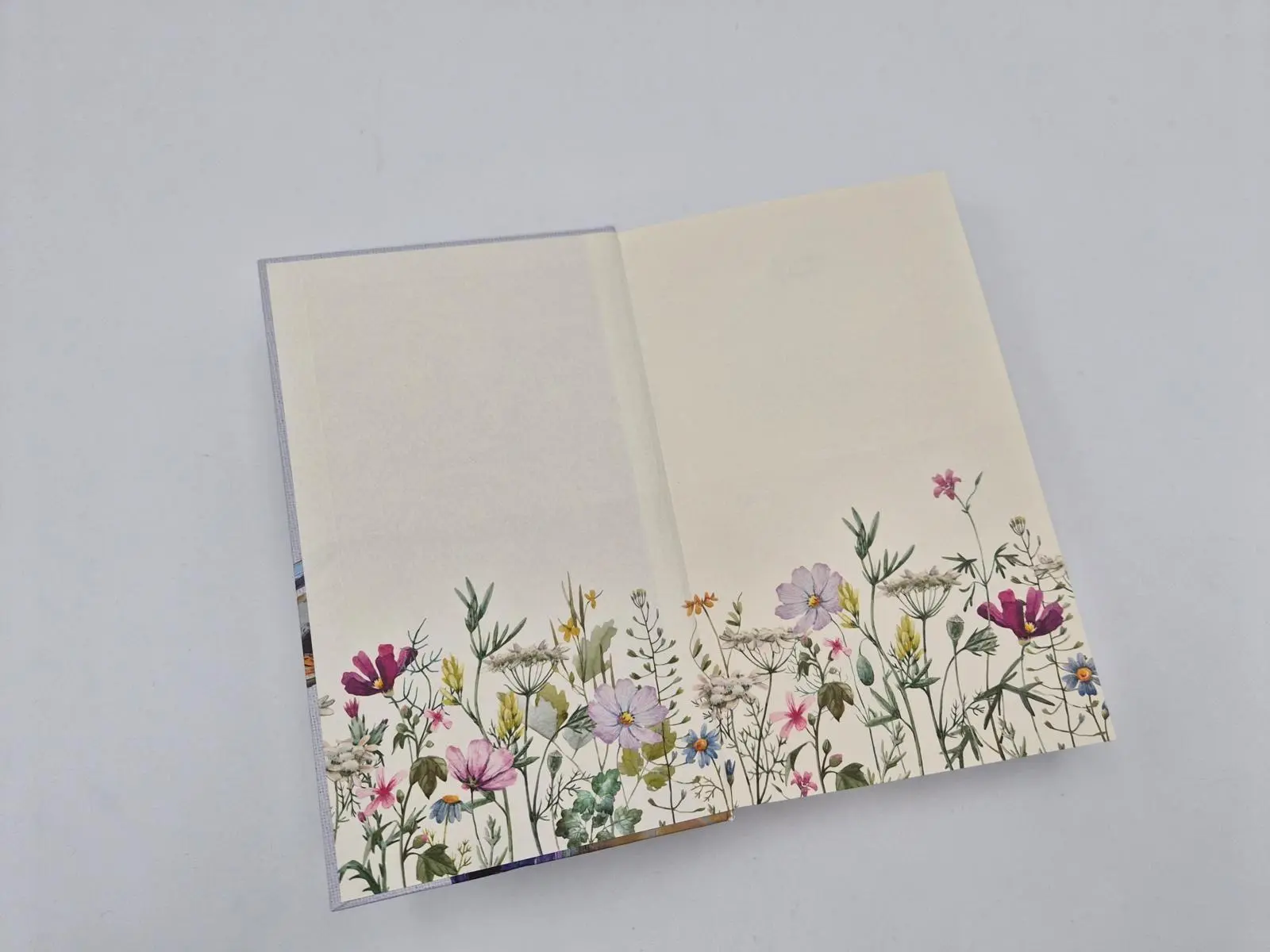 Bild: 9783890296203 | Landwissen! | Nicola Förg | Buch | 272 S. | Deutsch | 2026 | MALIK