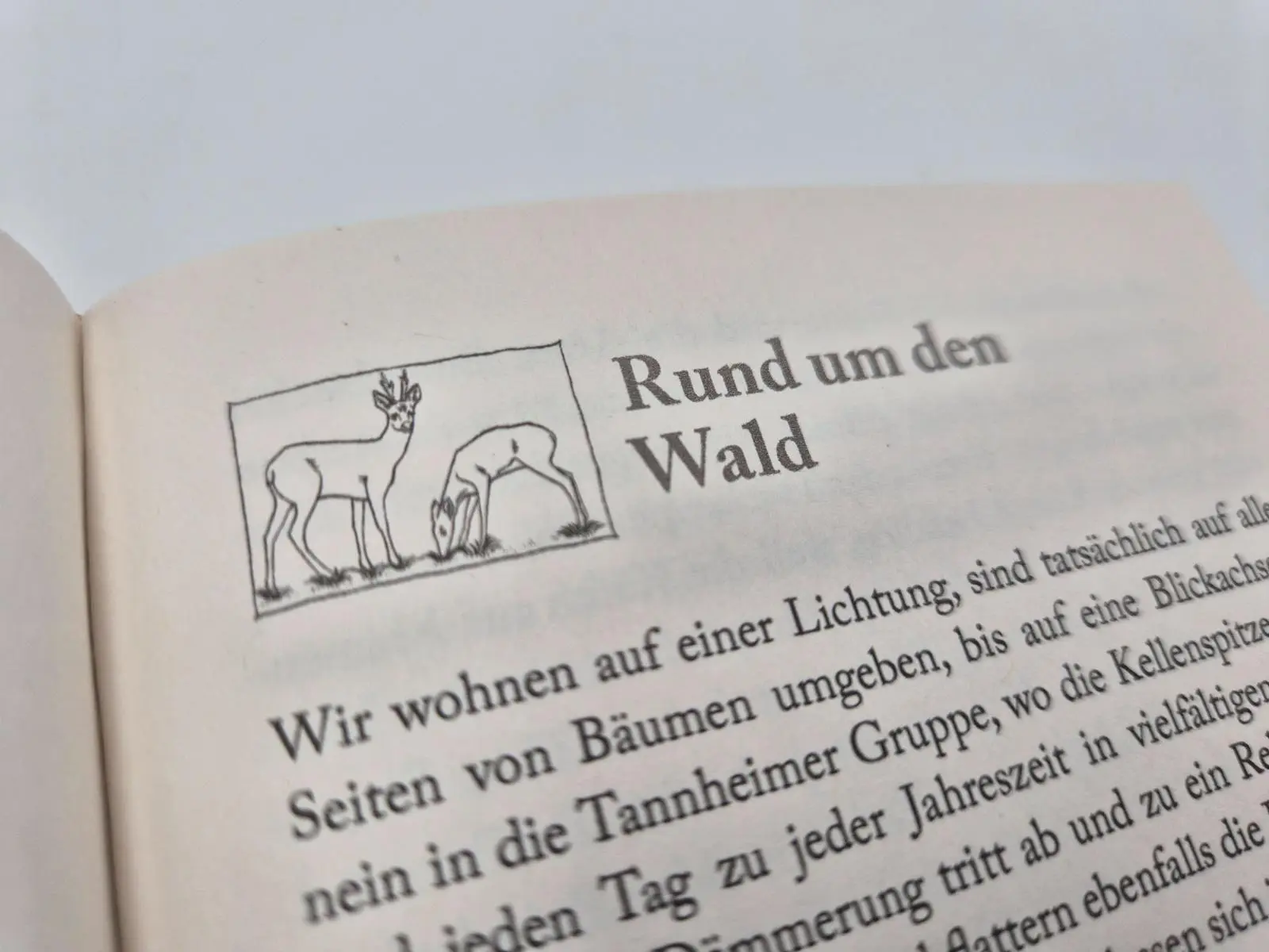 Bild: 9783890296203 | Landwissen! | Nicola Förg | Buch | 272 S. | Deutsch | 2026 | MALIK