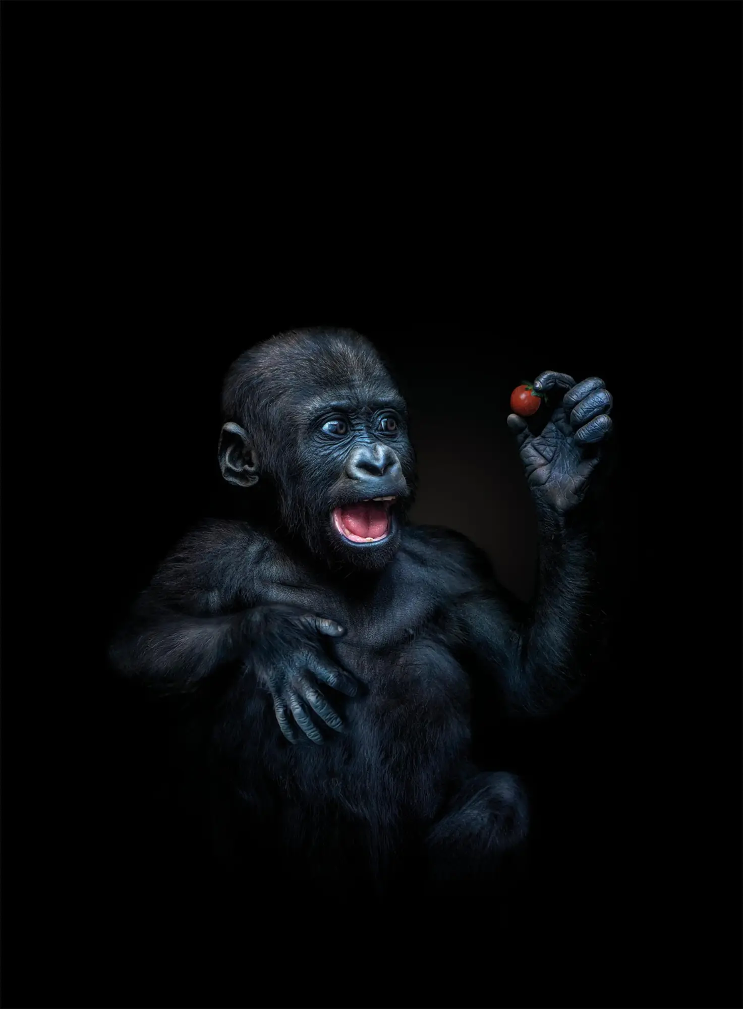 Bild: 9783961716203 | WildLOVE | Pedro Jarque Krebs | Buch | 224 S. | Deutsch | 2025