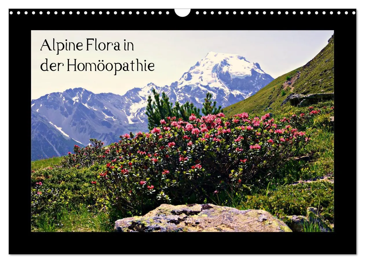 Cover: 9783457896303 | Alpine Flora in der Homöopathie (Wandkalender 2026 DIN A3 quer),...