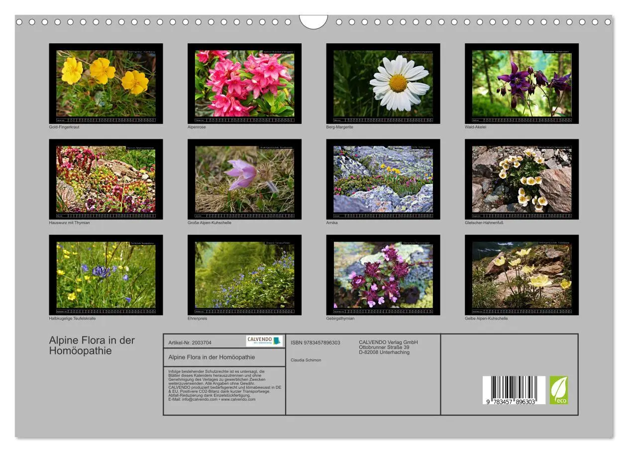 Bild: 9783457896303 | Alpine Flora in der Homöopathie (Wandkalender 2026 DIN A3 quer),...