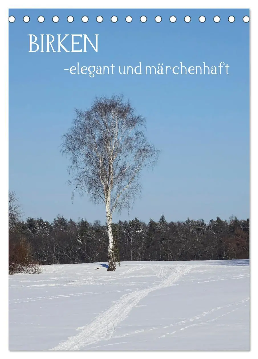 Cover: 9783516366303 | Birken - elegant und märchenhaft (Tischkalender 2026 DIN A5 hoch),...