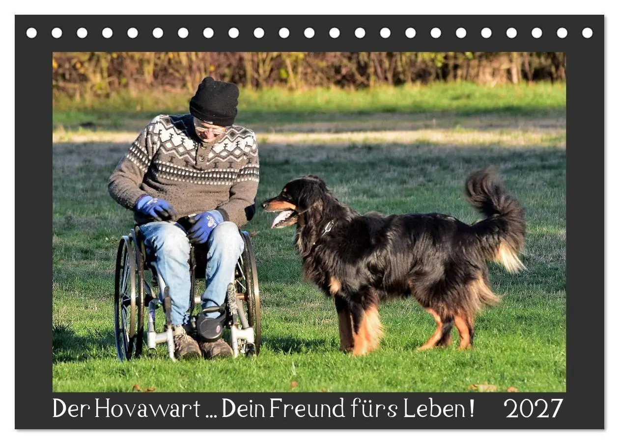 Cover: 9783569696303 | Der Hovawart... Dein Freund fürs Leben! (Tischkalender 2027 DIN A5...