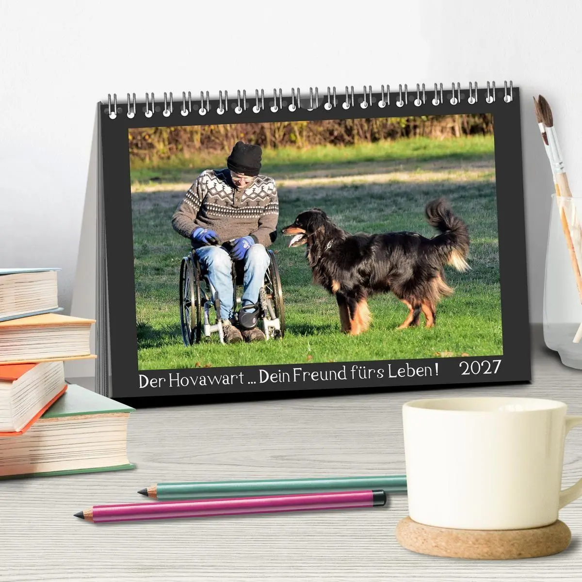 Bild: 9783569696303 | Der Hovawart... Dein Freund fürs Leben! (Tischkalender 2027 DIN A5...