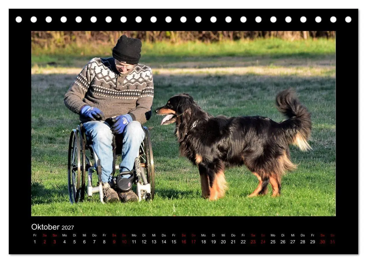 Bild: 9783569696303 | Der Hovawart... Dein Freund fürs Leben! (Tischkalender 2027 DIN A5...