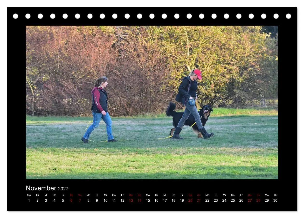 Bild: 9783569696303 | Der Hovawart... Dein Freund fürs Leben! (Tischkalender 2027 DIN A5...