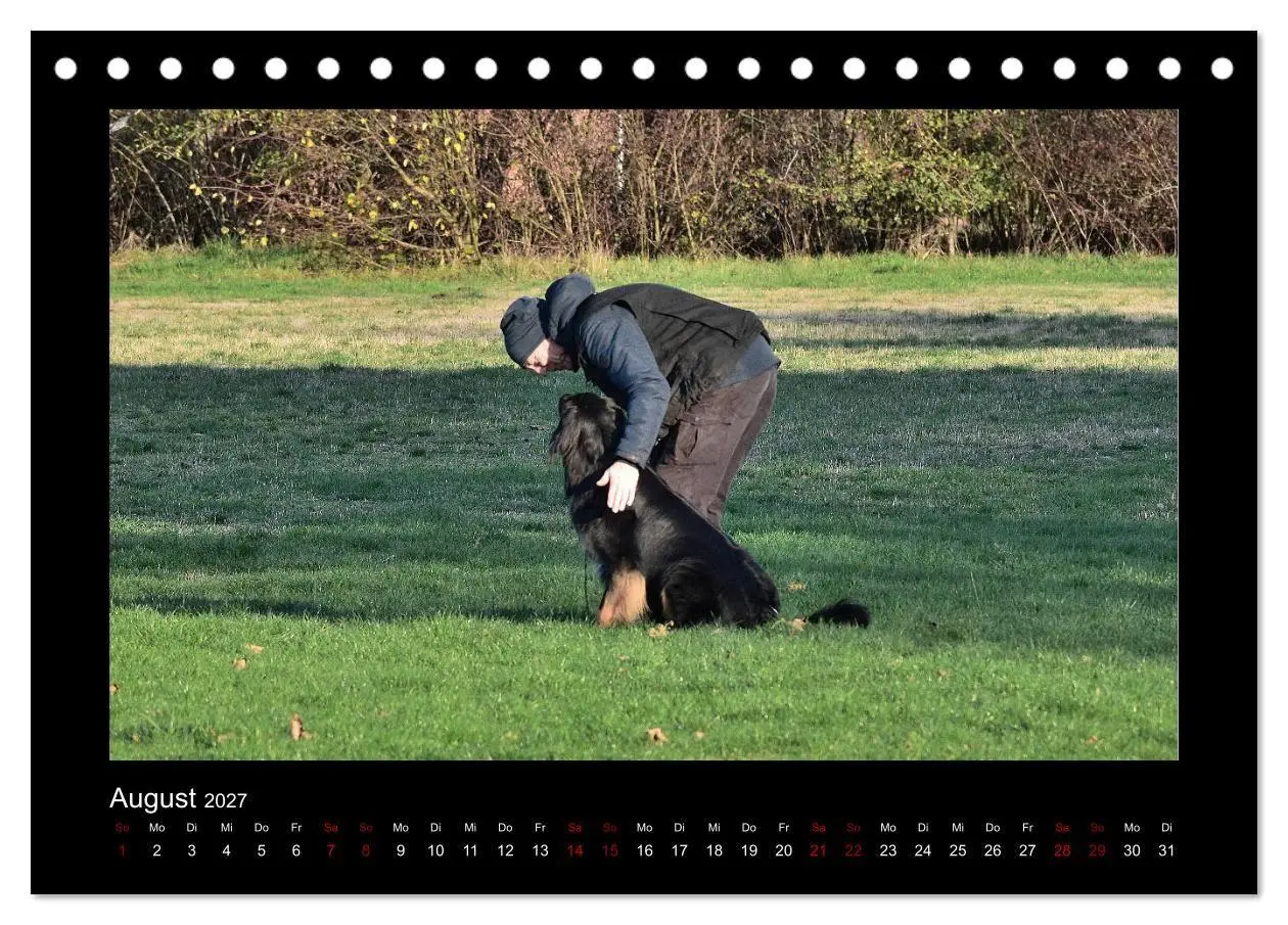 Bild: 9783569696303 | Der Hovawart... Dein Freund fürs Leben! (Tischkalender 2027 DIN A5...