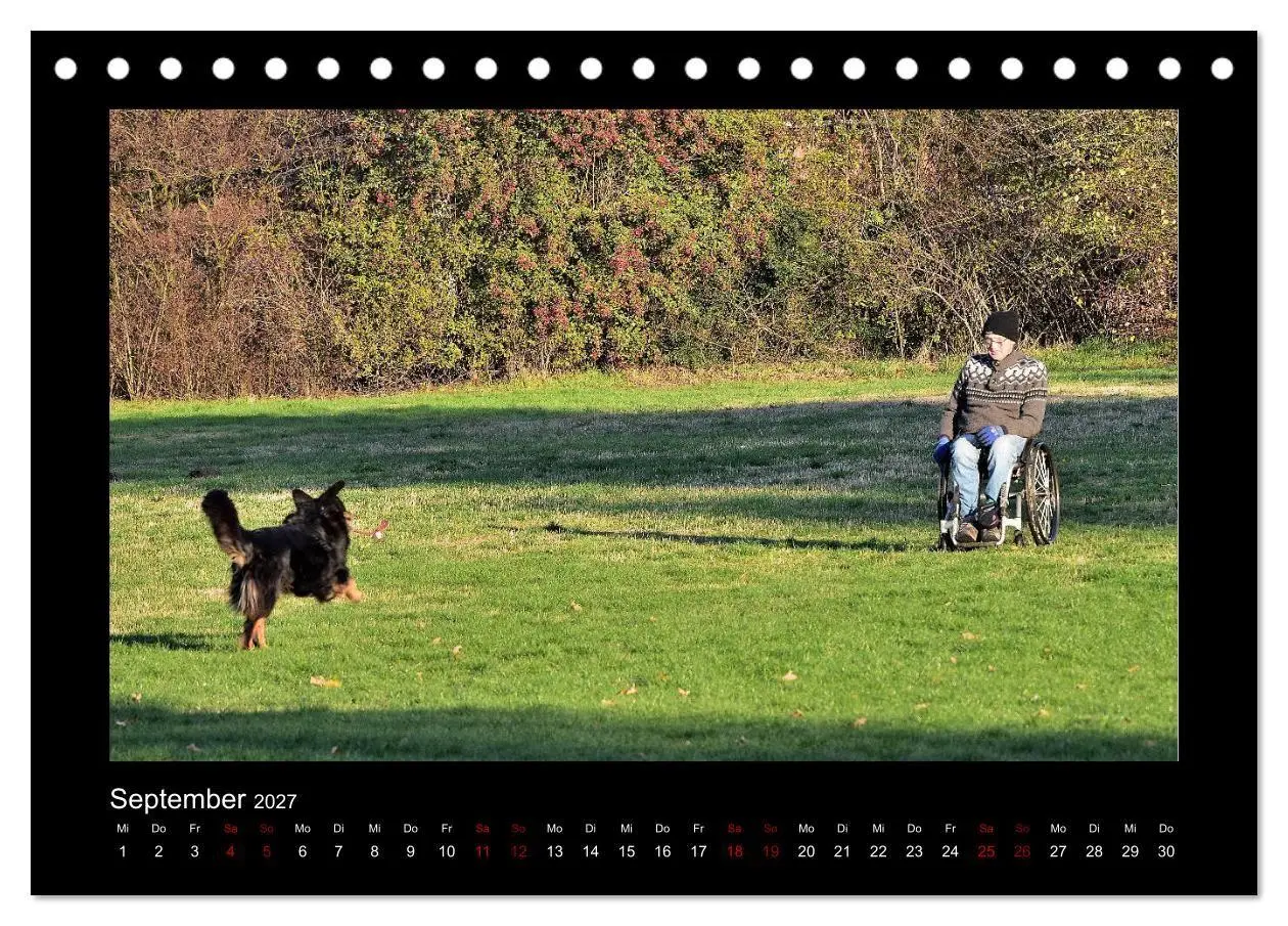 Bild: 9783569696303 | Der Hovawart... Dein Freund fürs Leben! (Tischkalender 2027 DIN A5...