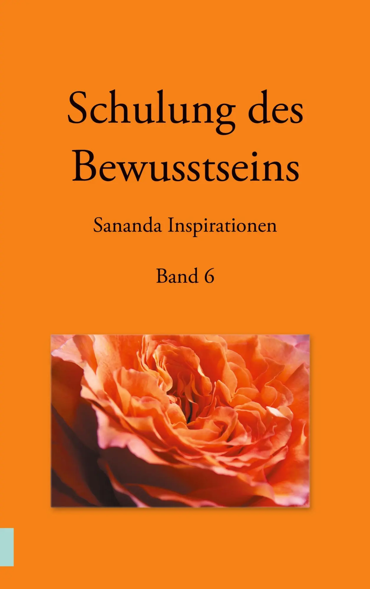 Cover: 9783749496303 | Schulung des Bewusstseins - Sananda Inspirationen | Band 6 | Stuckert