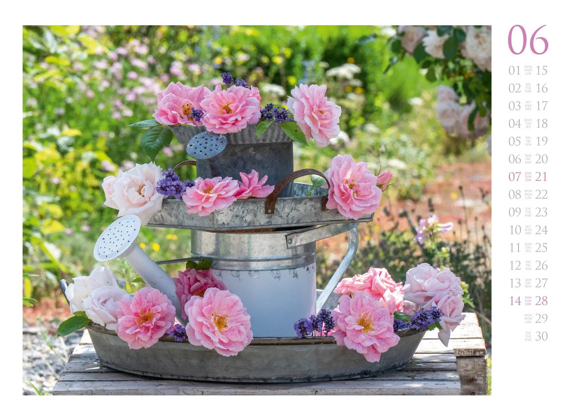 Bild: 9783838426303 | Blumenzauber Kalender 2026 | Friedrich Strauß (u. a.) | Kalender