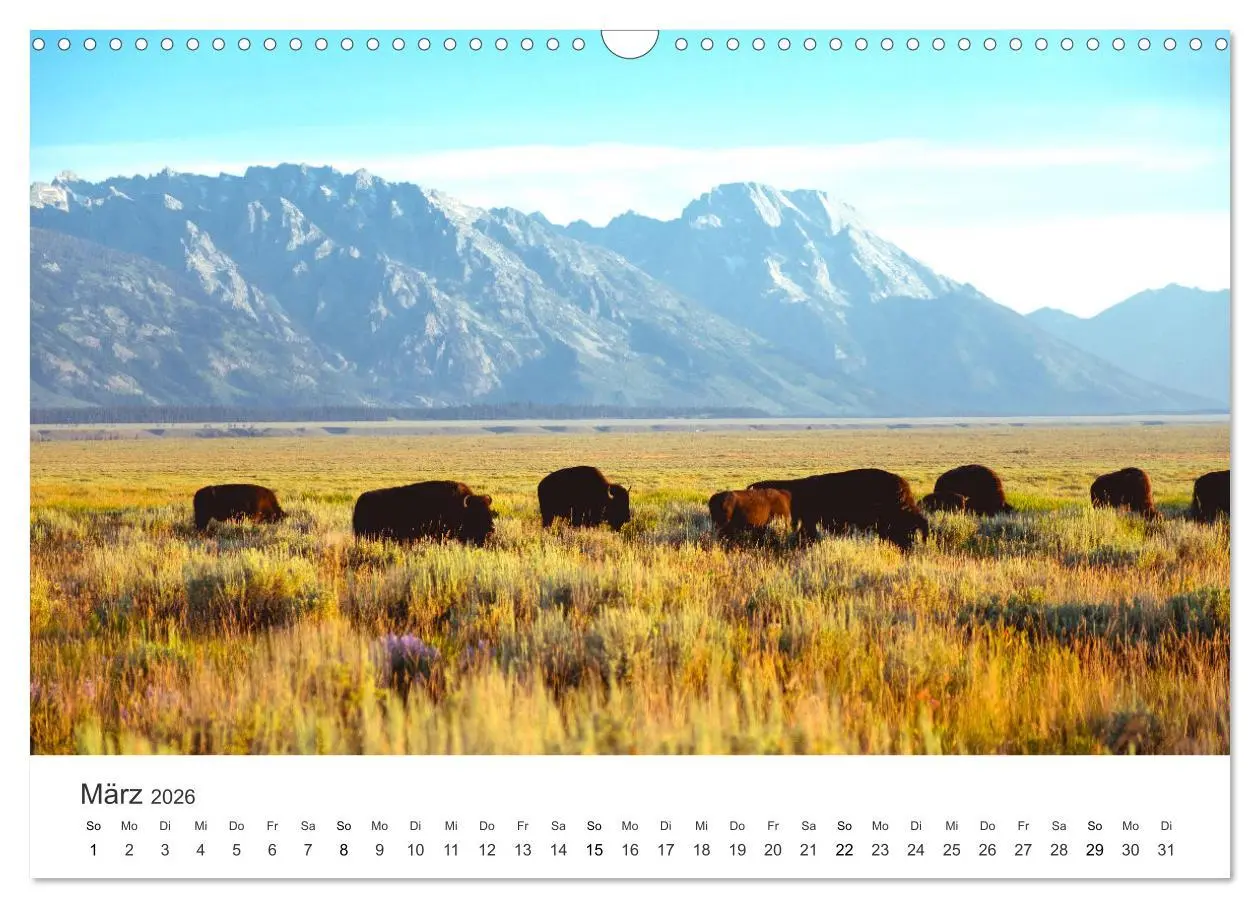 Bild: 9783457576403 | Wyoming - Der Bundesstaat der großen Ebenen. (Wandkalender 2026 DIN...