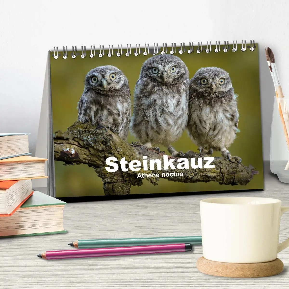 Bild: 9783457716403 | Steinkäuze (Athene noctua) (Tischkalender 2026 DIN A5 quer),...